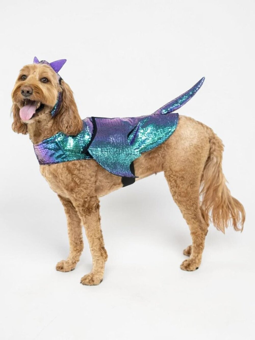 Vibrant Life Halloween Dress Up Blue/Purple Dragon Dog Elastic Band Costume SZ M